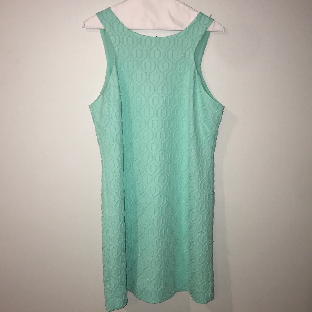 Lilly Pulitzer size lg dress